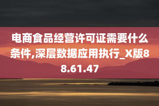 电商食品经营许可证需要什么条件,深层数据应用执行_X版88.61.47