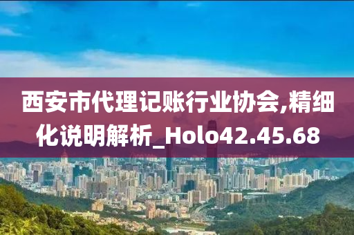 西安市代理记账行业协会,精细化说明解析_Holo42.45.68