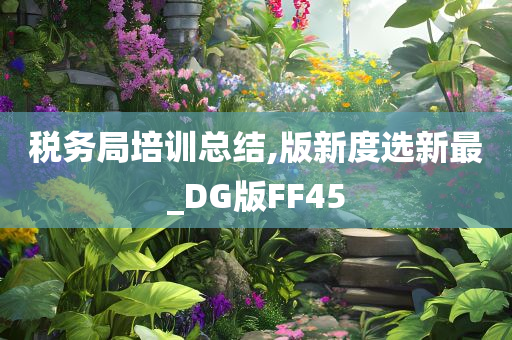 税务局培训总结,版新度选新最_DG版FF45