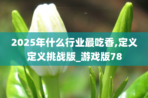 2025年什么行业最吃香,定义定义挑战版_游戏版78