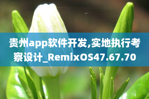 贵州app软件开发,实地执行考察设计_RemixOS47.67.70