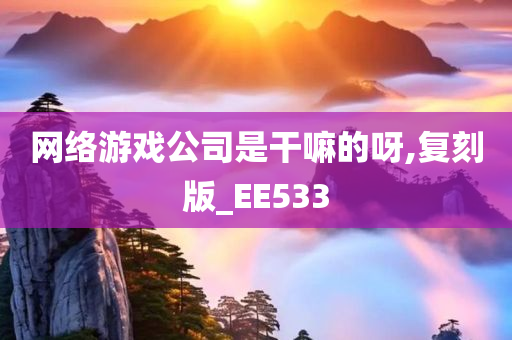 网络游戏公司是干嘛的呀,复刻版_EE533