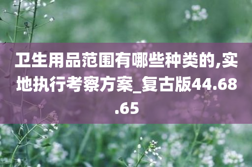 卫生用品范围有哪些种类的,实地执行考察方案_复古版44.68.65