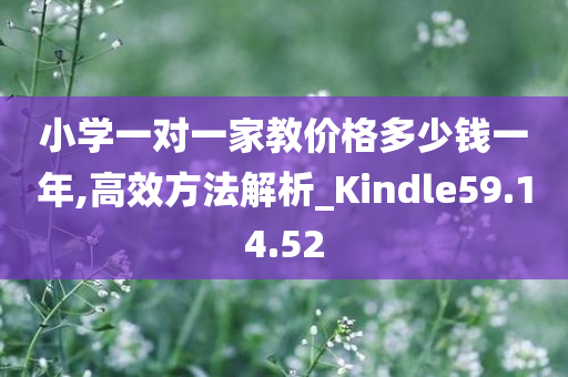 小学一对一家教价格多少钱一年,高效方法解析_Kindle59.14.52