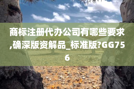 商标注册代办公司有哪些要求,确深版资解品_标准版?GG756