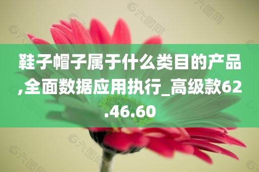 鞋子帽子属于什么类目的产品,全面数据应用执行_高级款62.46.60