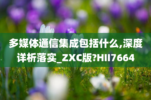 多媒体通信集成包括什么,深度详析落实_ZXC版?HII7664