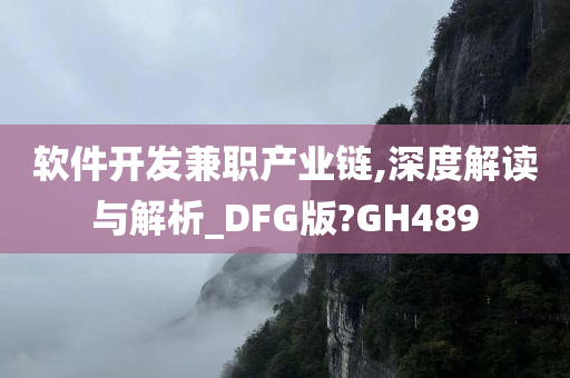 软件开发兼职产业链,深度解读与解析_DFG版?GH489