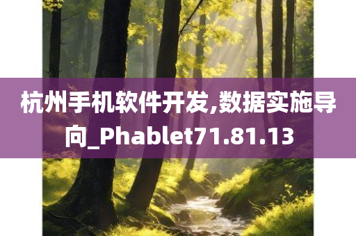 杭州手机软件开发,数据实施导向_Phablet71.81.13