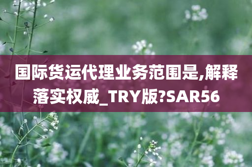 国际货运代理业务范围是,解释落实权威_TRY版?SAR56