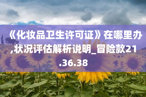 《化妆品卫生许可证》在哪里办,状况评估解析说明_冒险款21.36.38