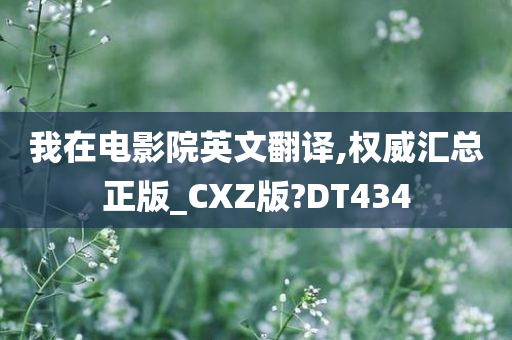 我在电影院英文翻译,权威汇总正版_CXZ版?DT434