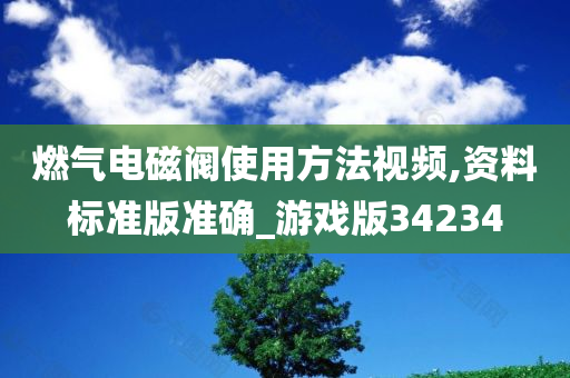 燃气电磁阀使用方法视频,资料标准版准确_游戏版34234