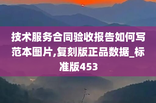 技术服务合同验收报告如何写范本图片,复刻版正品数据_标准版453