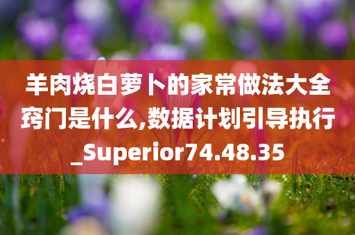 羊肉烧白萝卜的家常做法大全窍门是什么,数据计划引导执行_Superior74.48.35