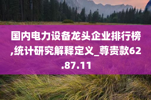 国内电力设备龙头企业排行榜,统计研究解释定义_尊贵款62.87.11