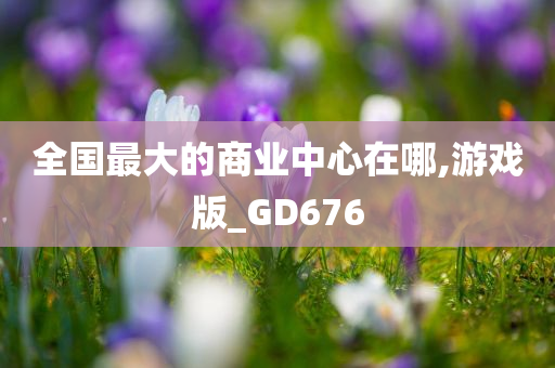 全国最大的商业中心在哪,游戏版_GD676