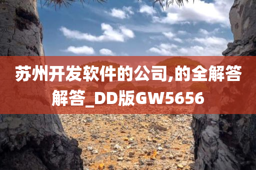 苏州开发软件的公司,的全解答解答_DD版GW5656