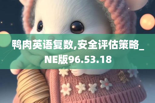 鸭肉英语复数,安全评估策略_NE版96.53.18