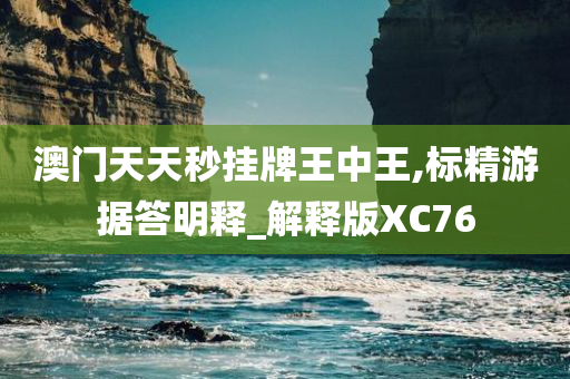 澳门天天秒挂牌王中王,标精游据答明释_解释版XC76