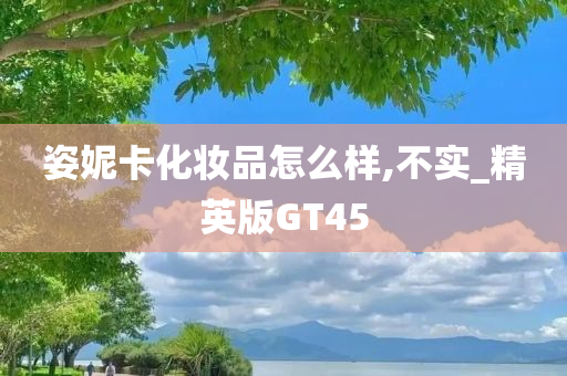 姿妮卡化妆品怎么样,不实_精英版GT45