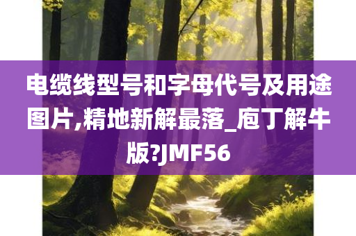 电缆线型号和字母代号及用途图片,精地新解最落_庖丁解牛版?JMF56