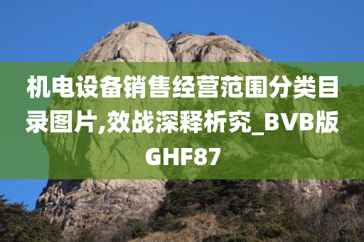 机电设备销售经营范围分类目录图片,效战深释析究_BVB版GHF87