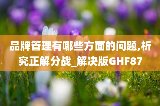 品牌管理有哪些方面的问题,析究正解分战_解决版GHF87