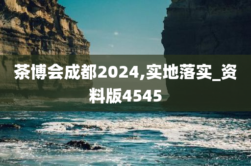 茶博会成都2024,实地落实_资料版4545