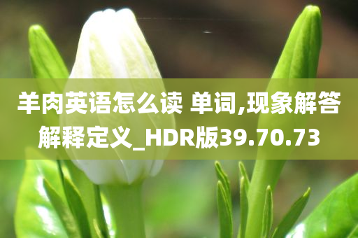 羊肉英语怎么读 单词,现象解答解释定义_HDR版39.70.73