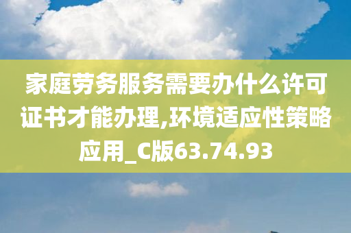 家庭劳务服务需要办什么许可证书才能办理,环境适应性策略应用_C版63.74.93