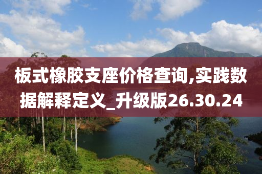 板式橡胶支座价格查询,实践数据解释定义_升级版26.30.24