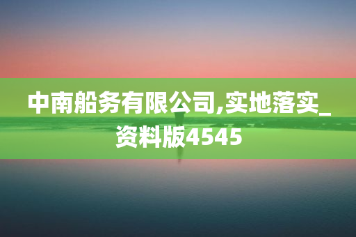 中南船务有限公司,实地落实_资料版4545