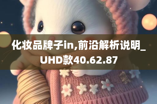 化妆品牌子in,前沿解析说明_UHD款40.62.87