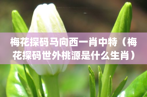 梅花探码马向西一肖中特（梅花探码世外桃源是什么生肖）