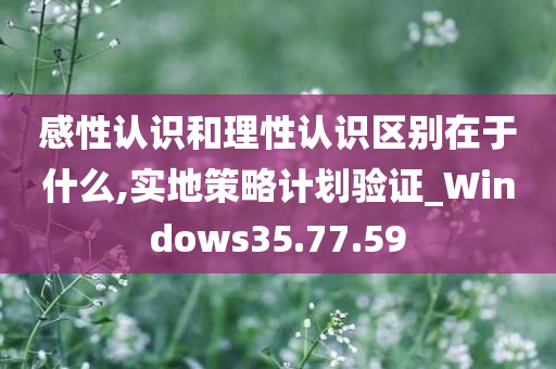 感性认识和理性认识区别在于什么,实地策略计划验证_Windows35.77.59