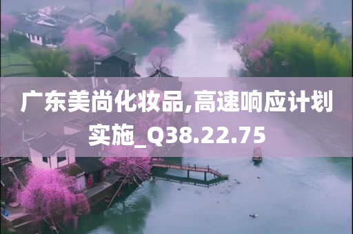 广东美尚化妆品,高速响应计划实施_Q38.22.75