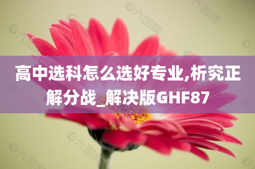 高中选科怎么选好专业,析究正解分战_解决版GHF87