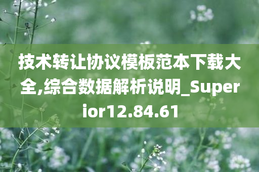 技术转让协议模板范本下载大全,综合数据解析说明_Superior12.84.61