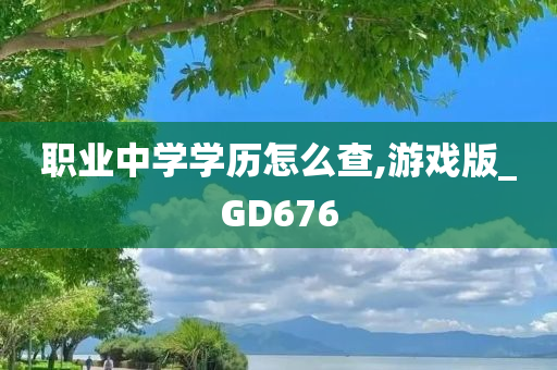 职业中学学历怎么查,游戏版_GD676