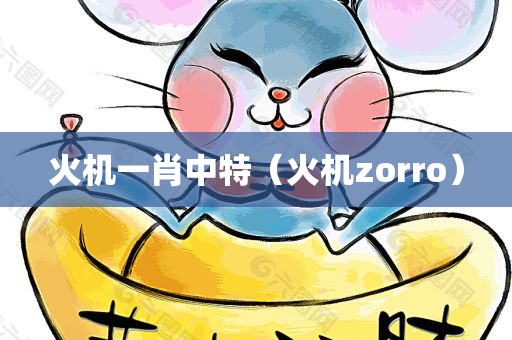 火机一肖中特（火机zorro）