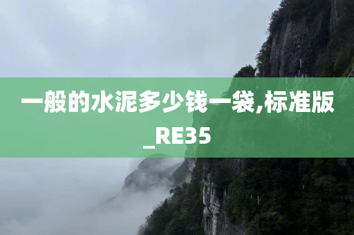 一般的水泥多少钱一袋,标准版_RE35