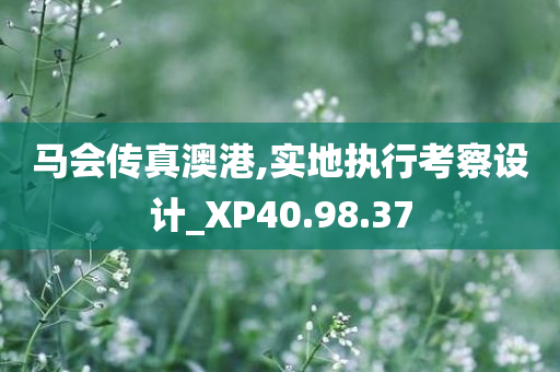 马会传真澳港,实地执行考察设计_XP40.98.37