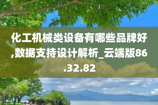 化工机械类设备有哪些品牌好,数据支持设计解析_云端版86.32.82