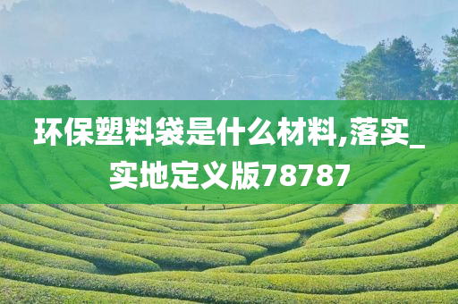 环保塑料袋是什么材料,落实_实地定义版78787