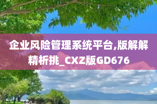 企业风险管理系统平台,版解解精析挑_CXZ版GD676