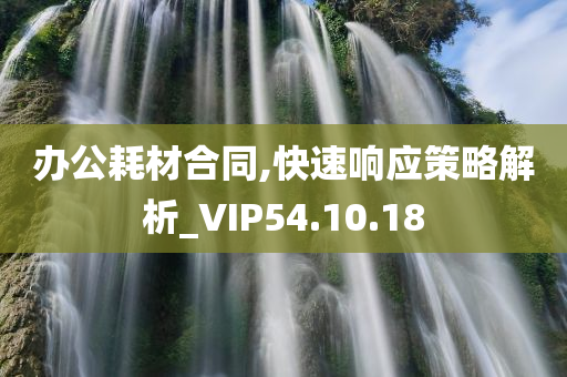 办公耗材合同,快速响应策略解析_VIP54.10.18