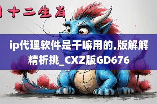 ip代理软件是干嘛用的,版解解精析挑_CXZ版GD676