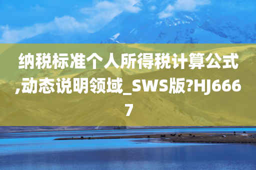 纳税标准个人所得税计算公式,动态说明领域_SWS版?HJ6667