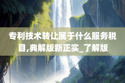 专利技术转让属于什么服务税目,典解版新正实_了解版